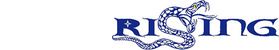 Hangzhou Rising Industry Co., Ltd. Logo